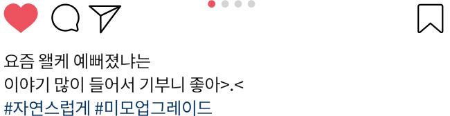 이미지03