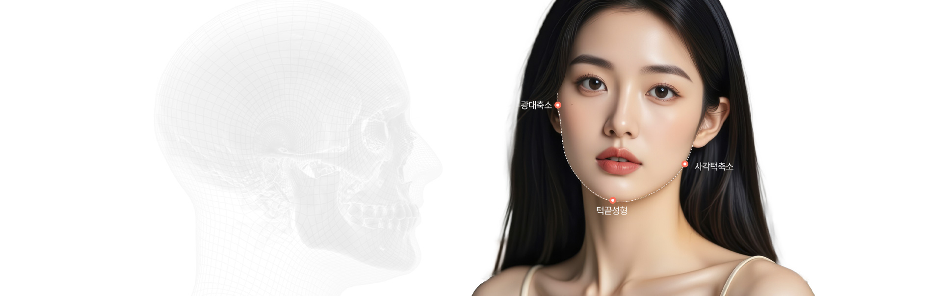 시그니처 윤곽패키지