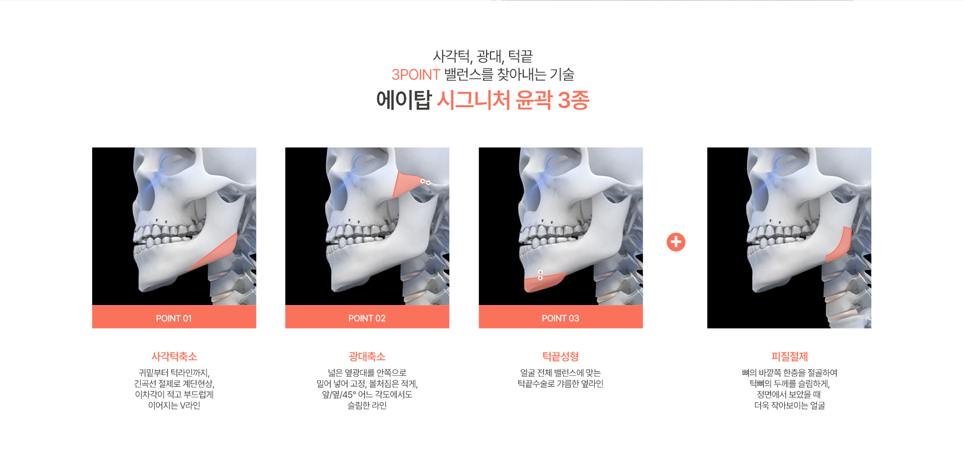 시그니처 윤곽패키지