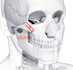 시그니처 윤곽패키지