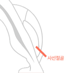 시그니처 윤곽패키지