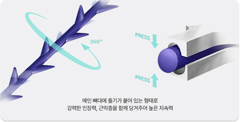 눈썹거상리프팅