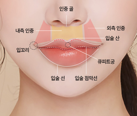 인중축소