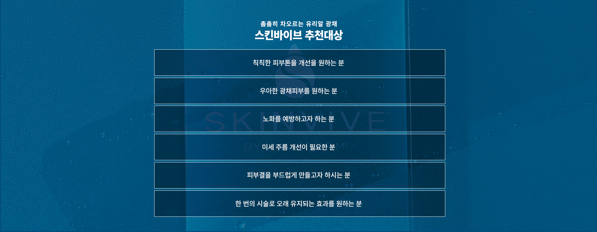 스킨바이브