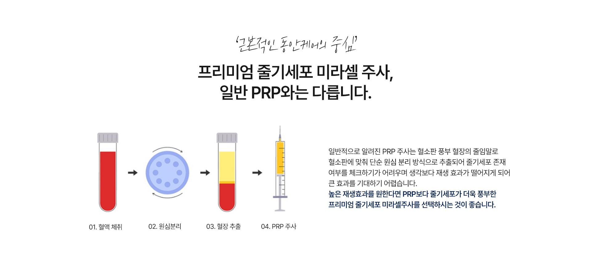 미라셀