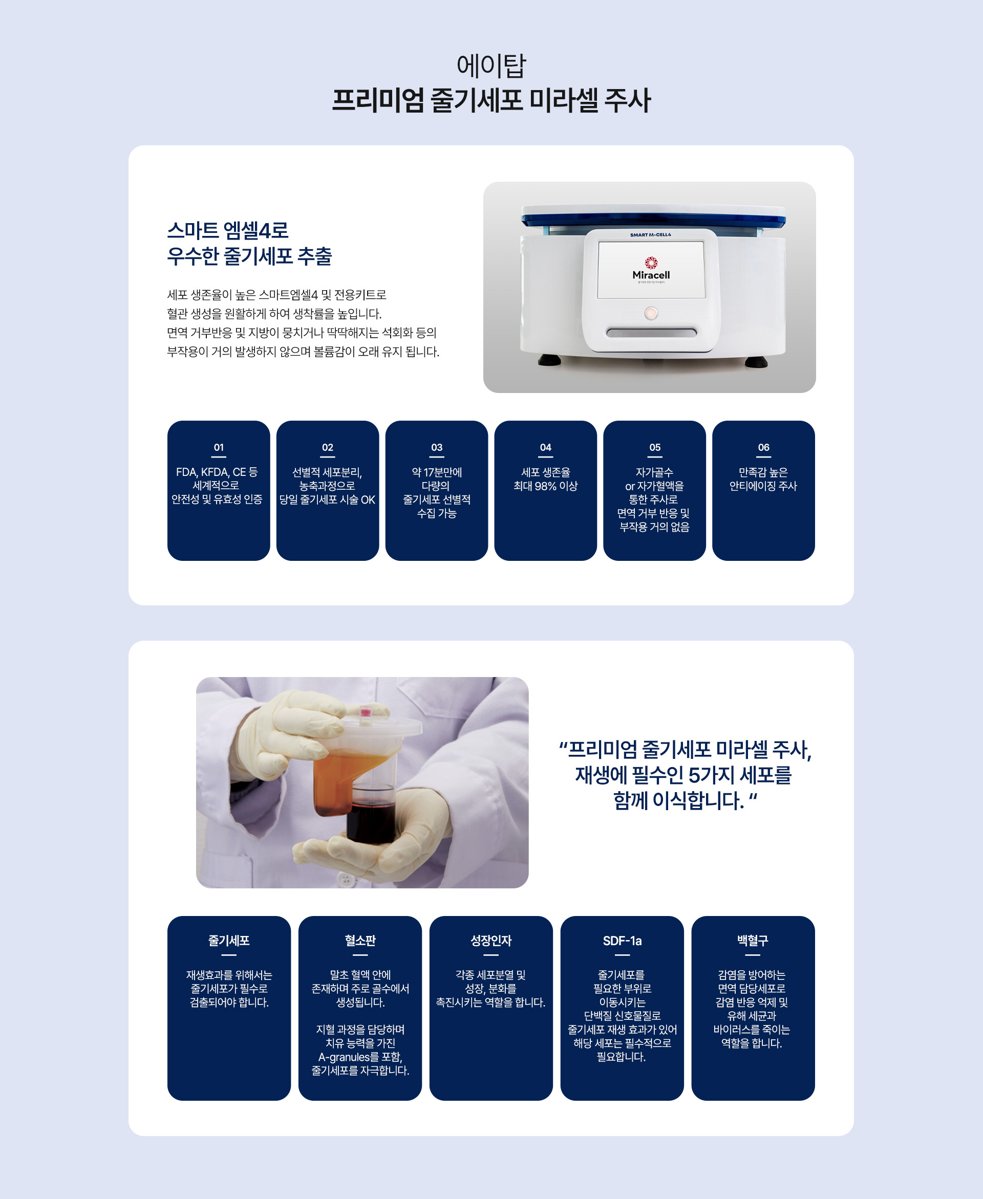 미라셀