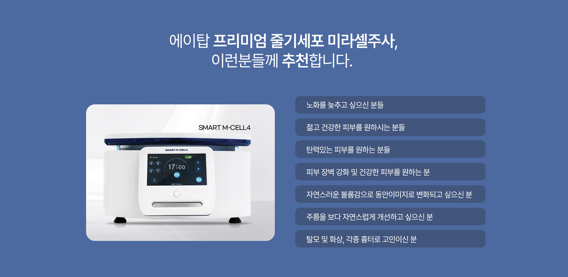 미라셀