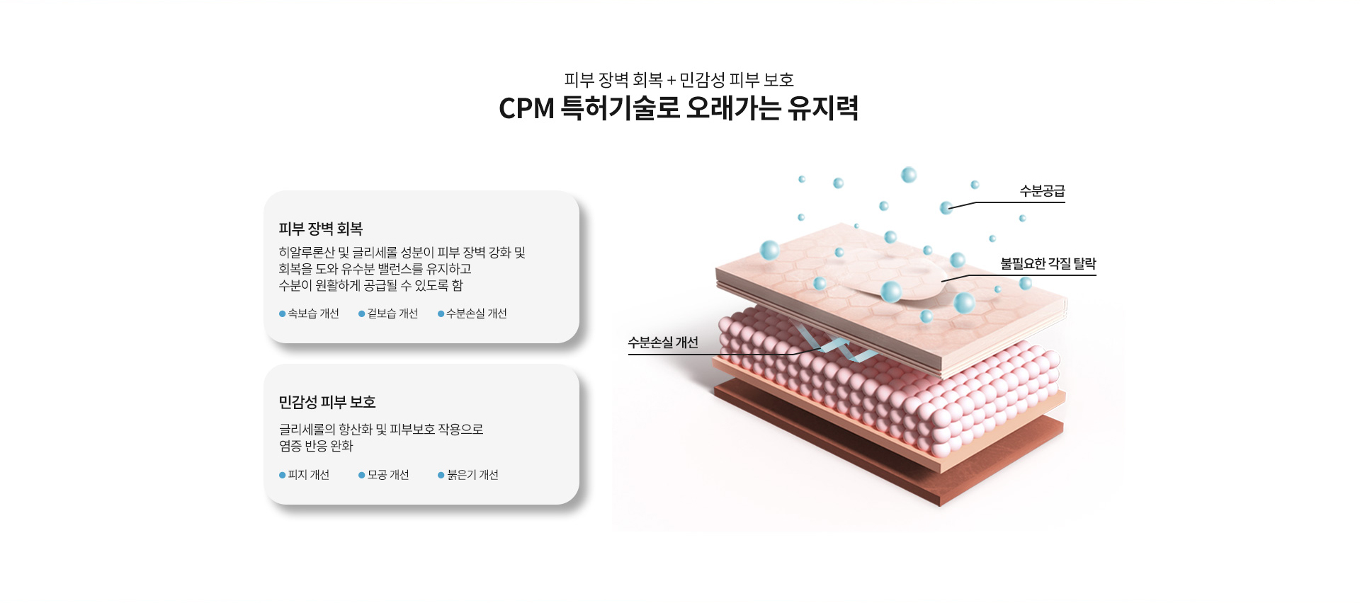 리바이브