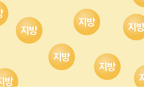 일반지방이식 이미지